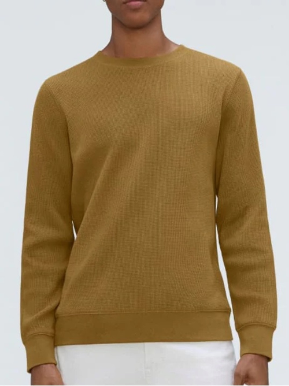 Everlane Men’s The Waffle Long-Sleeve Crew Tee- Tapenade Medium
